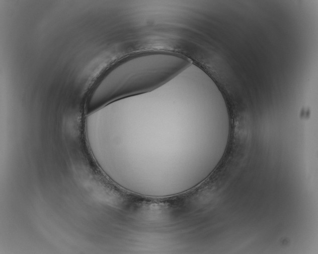 X0000110680304200907021917