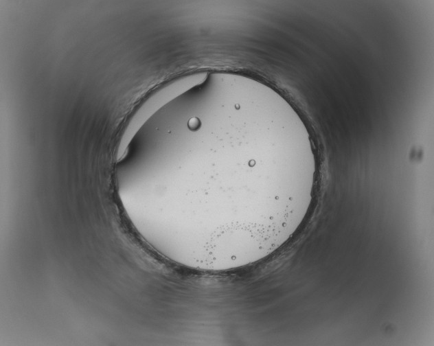 X0000110680305200907021917