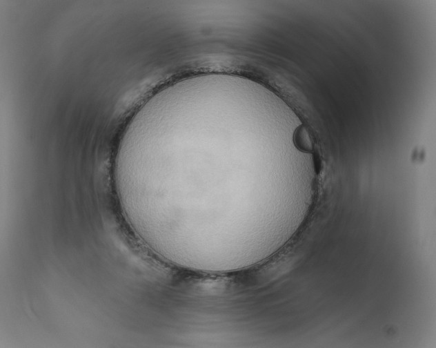 X0000110680306200907021917