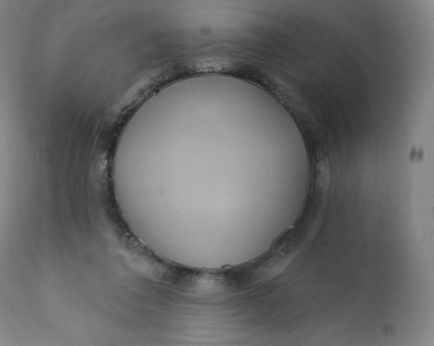 X0000110680308200907021916