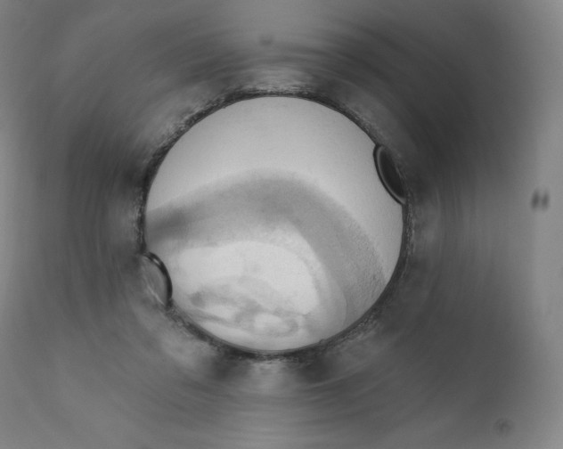 X0000110680309200907021916