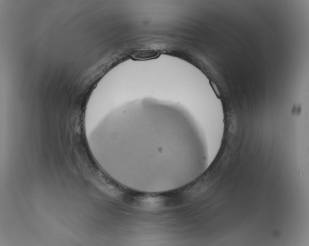 X0000110680313200907021916