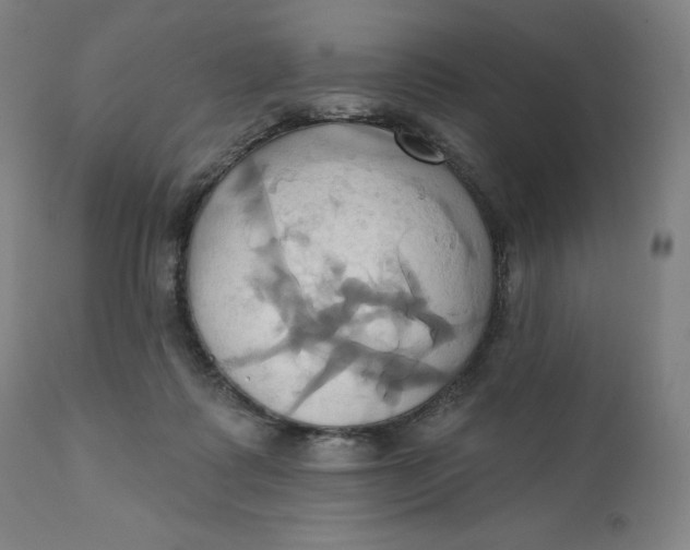 X0000110680315200907021916