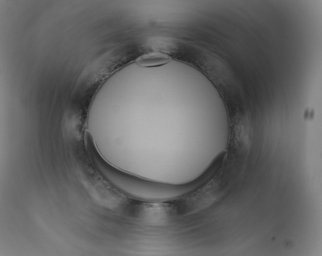 X0000110680316200907021916