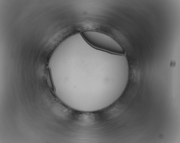 X0000110680317200907021916