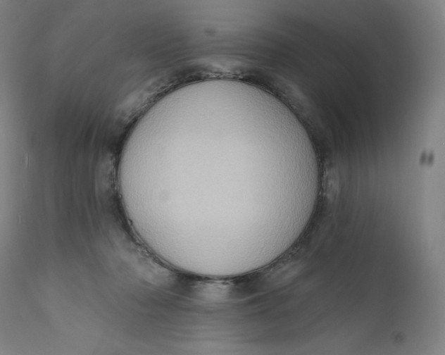 X0000110680318200907021916