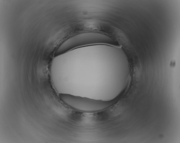X0000110680320200907021916
