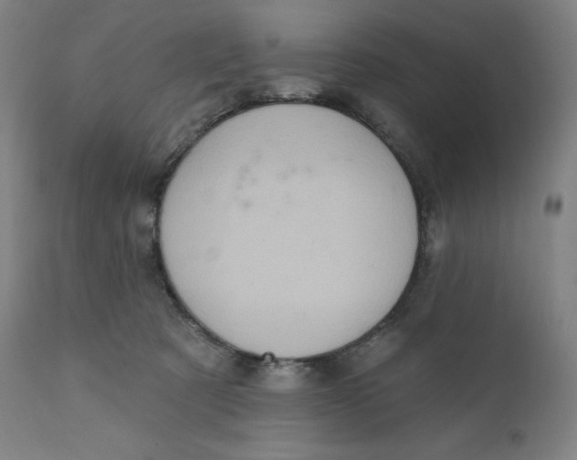 X0000110680321200907021916