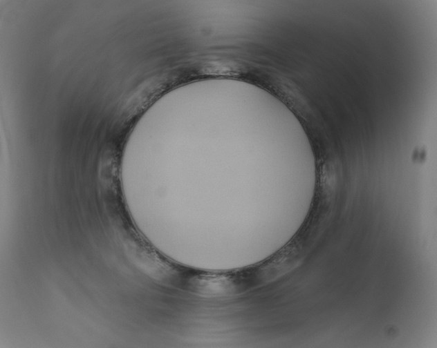 X0000110680322200907021916