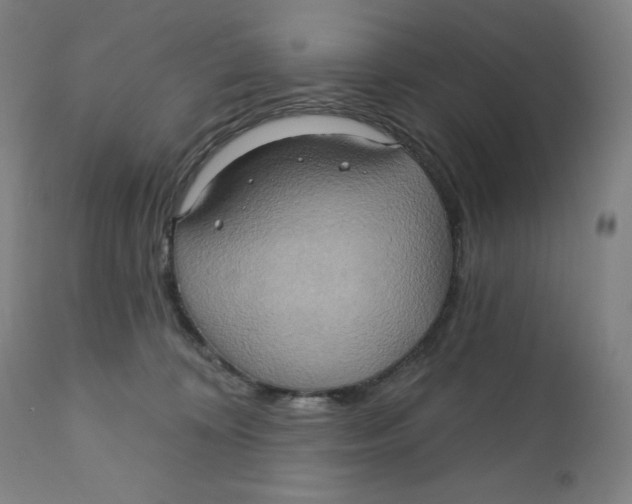 X0000110680324200907021916