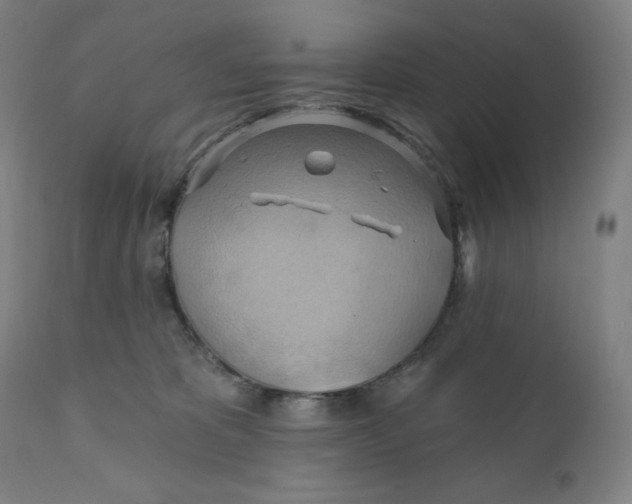 X0000110680325200907021916