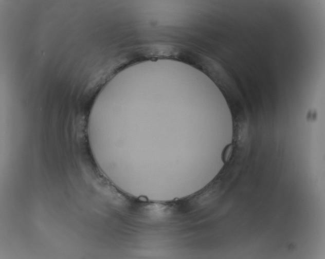 X0000110680326200907021916