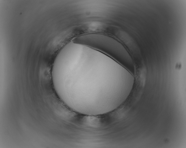 X0000110680327200907021916