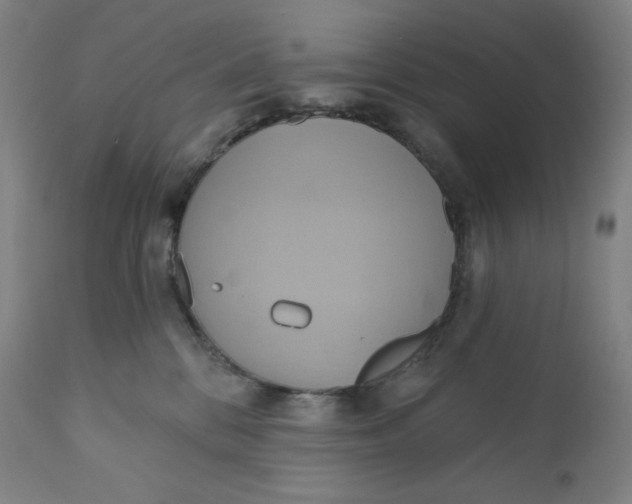 X0000110680328200907021916