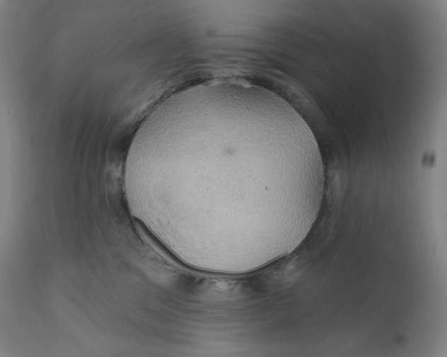 X0000110680329200907021916