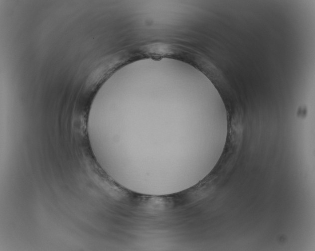 X0000110680330200907021916