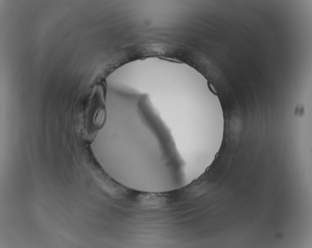 X0000110680331200907021916