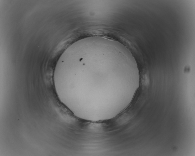 X0000110680332200907021916