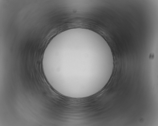 X0000110680333200907021916