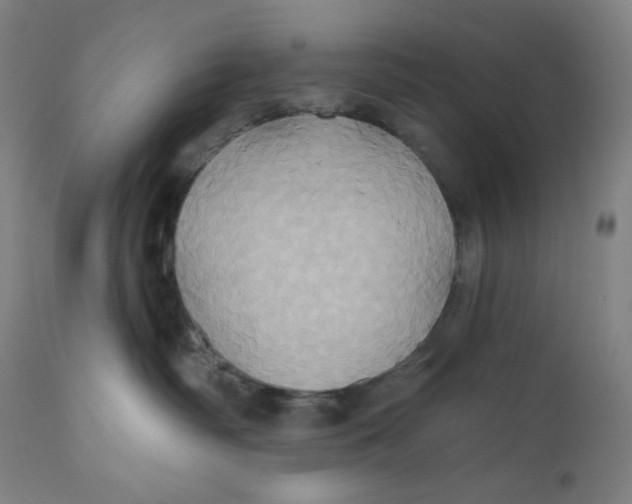 X0000110680334200907021916