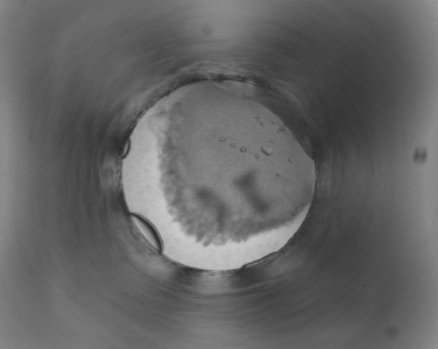 X0000110680335200907021916