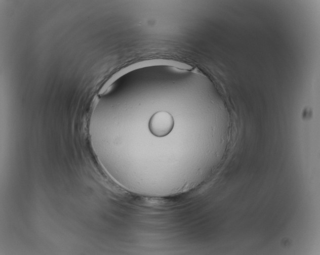 X0000110680336200907021916
