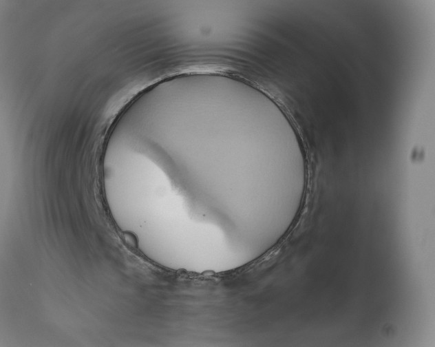 X0000110680337200907021915