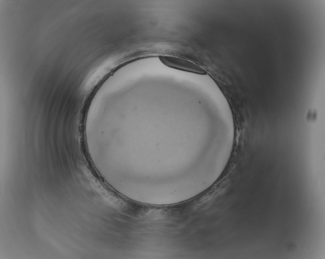 X0000110680341200907021915