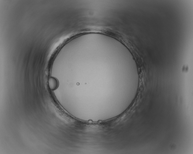 X0000110680342200907021915