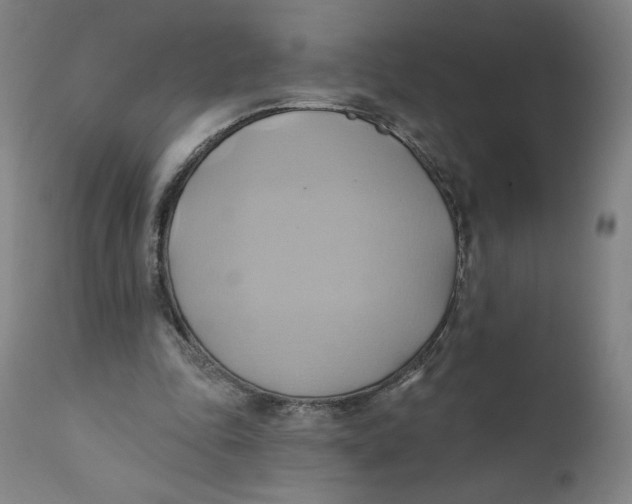 X0000110680343200907021915