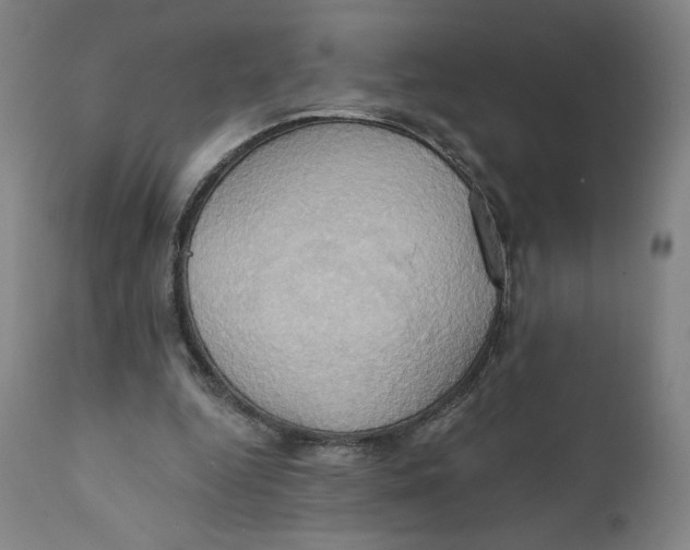 X0000110680344200907021915