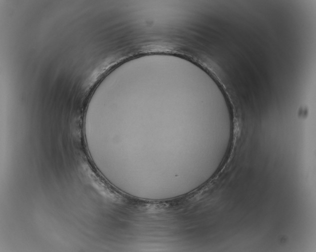 X0000110680345200907021915