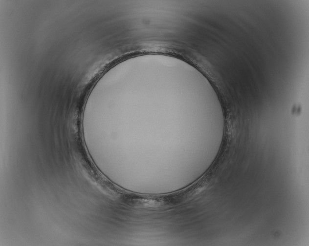 X0000110680347200907021915