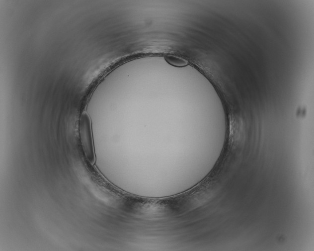 X0000110680348200907021915