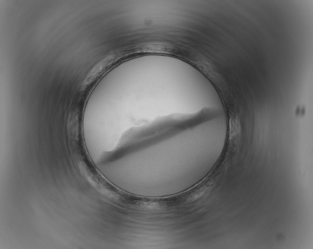 X0000110680349200907021915