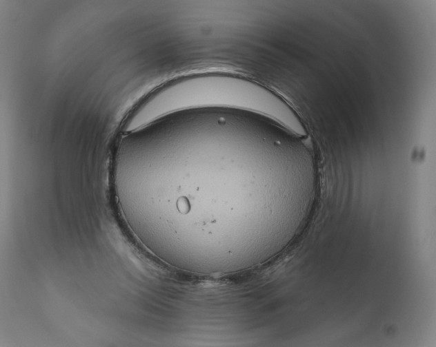 X0000110680350200907021915