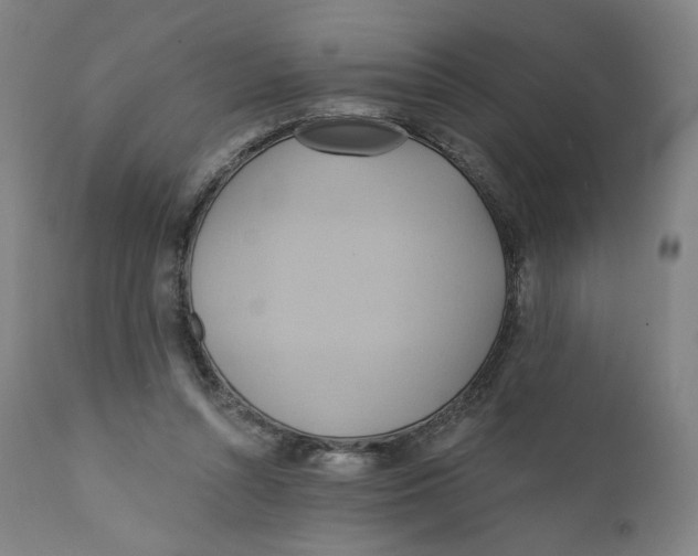 X0000110680352200907021915