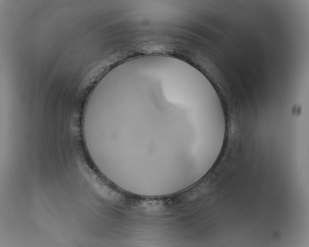 X0000110680353200907021915