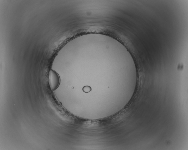 X0000110680354200907021916