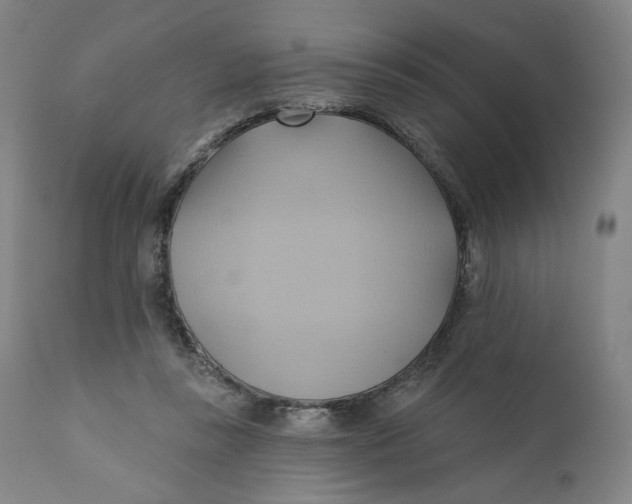 X0000110680355200907021916