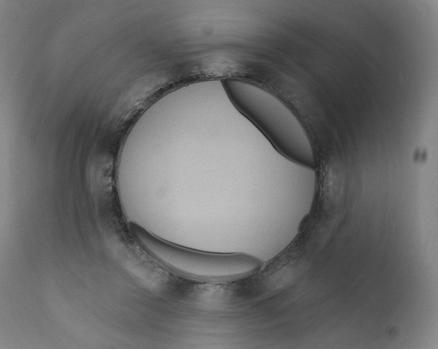 X0000110680356200907021916