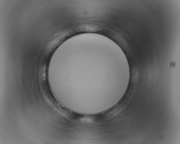 X0000110680358200907021916