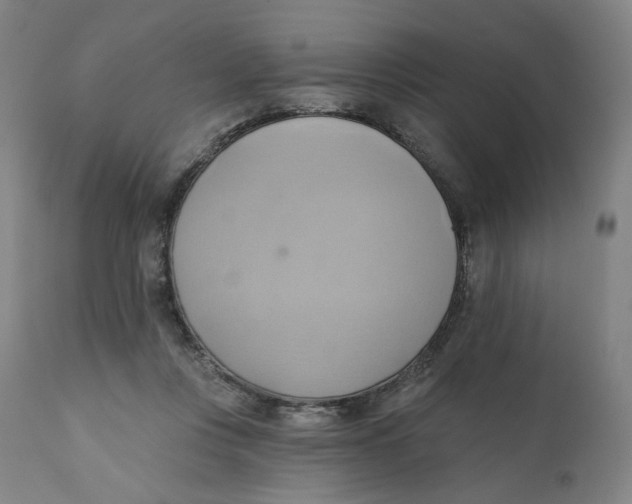 X0000110680359200907021916