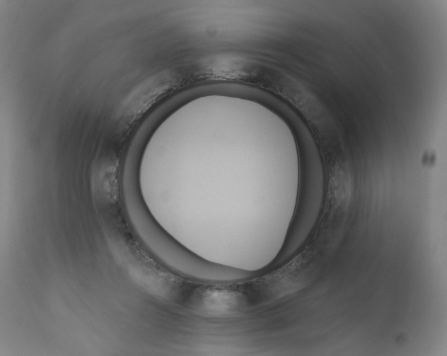 X0000110680360200907021916