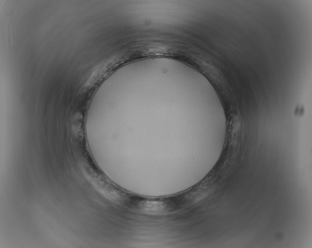 X0000110680361200907021916