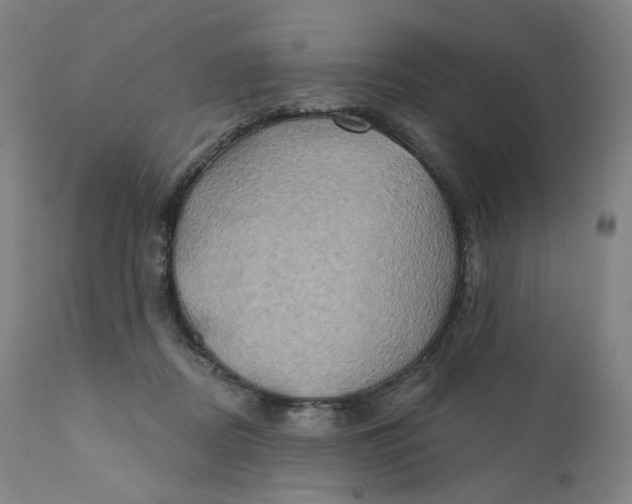 X0000110680362200907021916