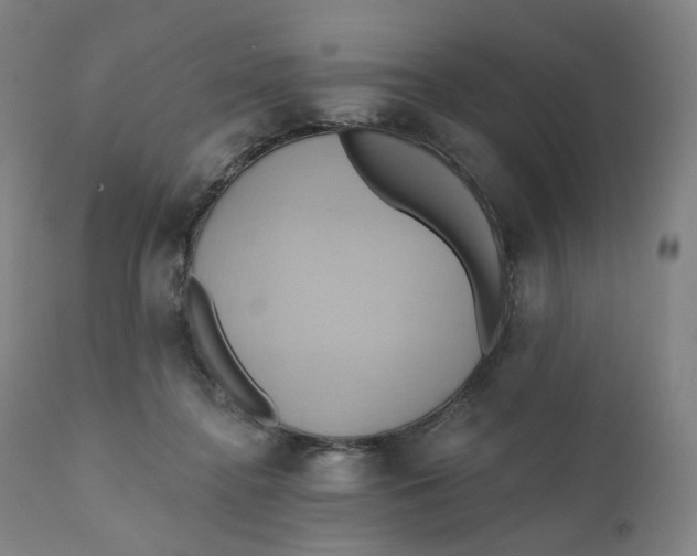 X0000110680364200907021916