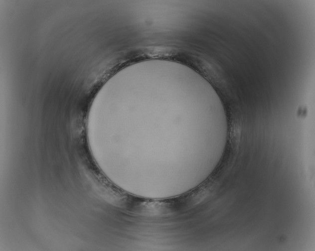 X0000110680367200907021916