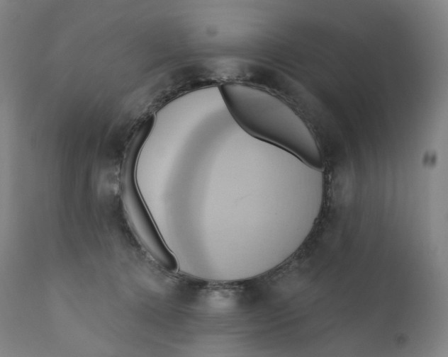 X0000110680368200907021916