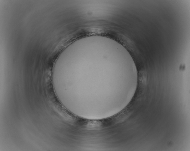 X0000110680369200907021916